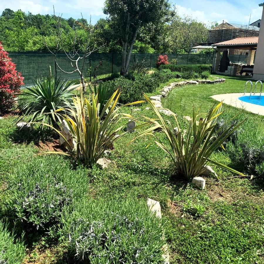 Grožnjan Villa Malini מראה חיצוני תמונה