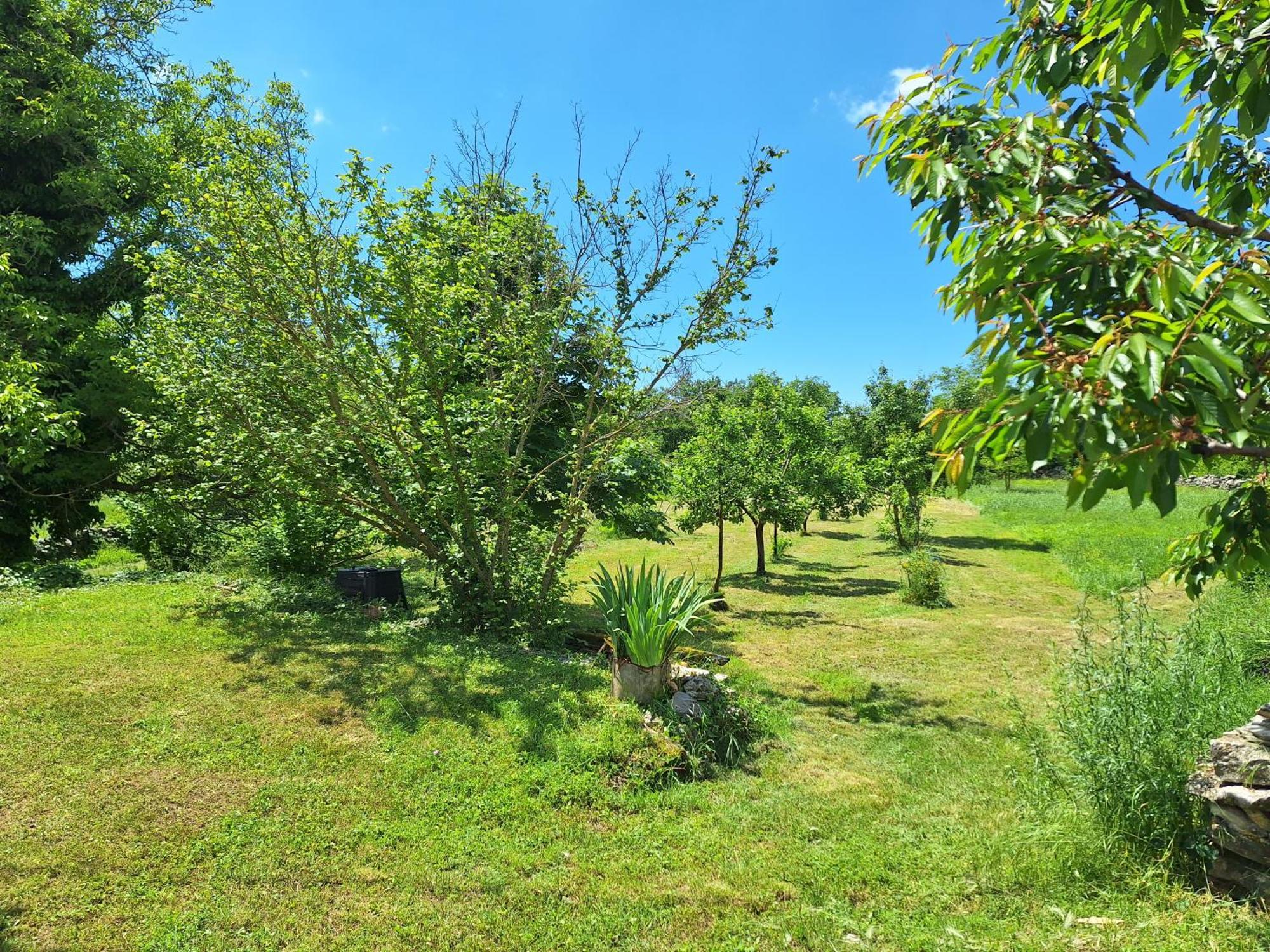 Grožnjan Villa Malini מראה חיצוני תמונה